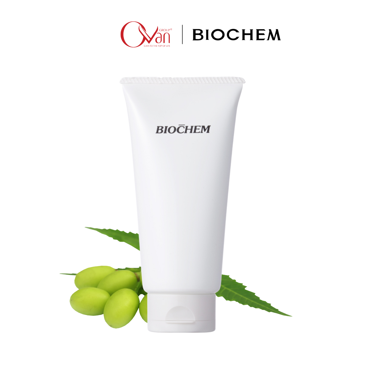 Hình ảnh nổi bật