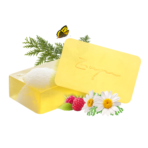 Hình ảnh nổi bật