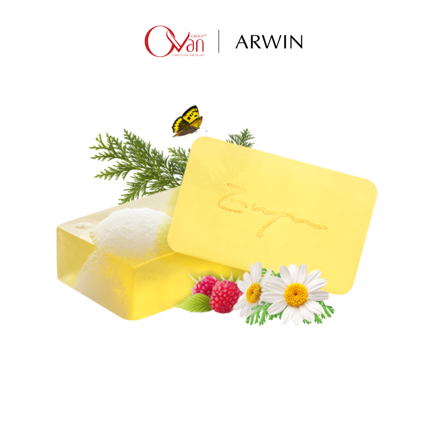 Hình ảnh nổi bật